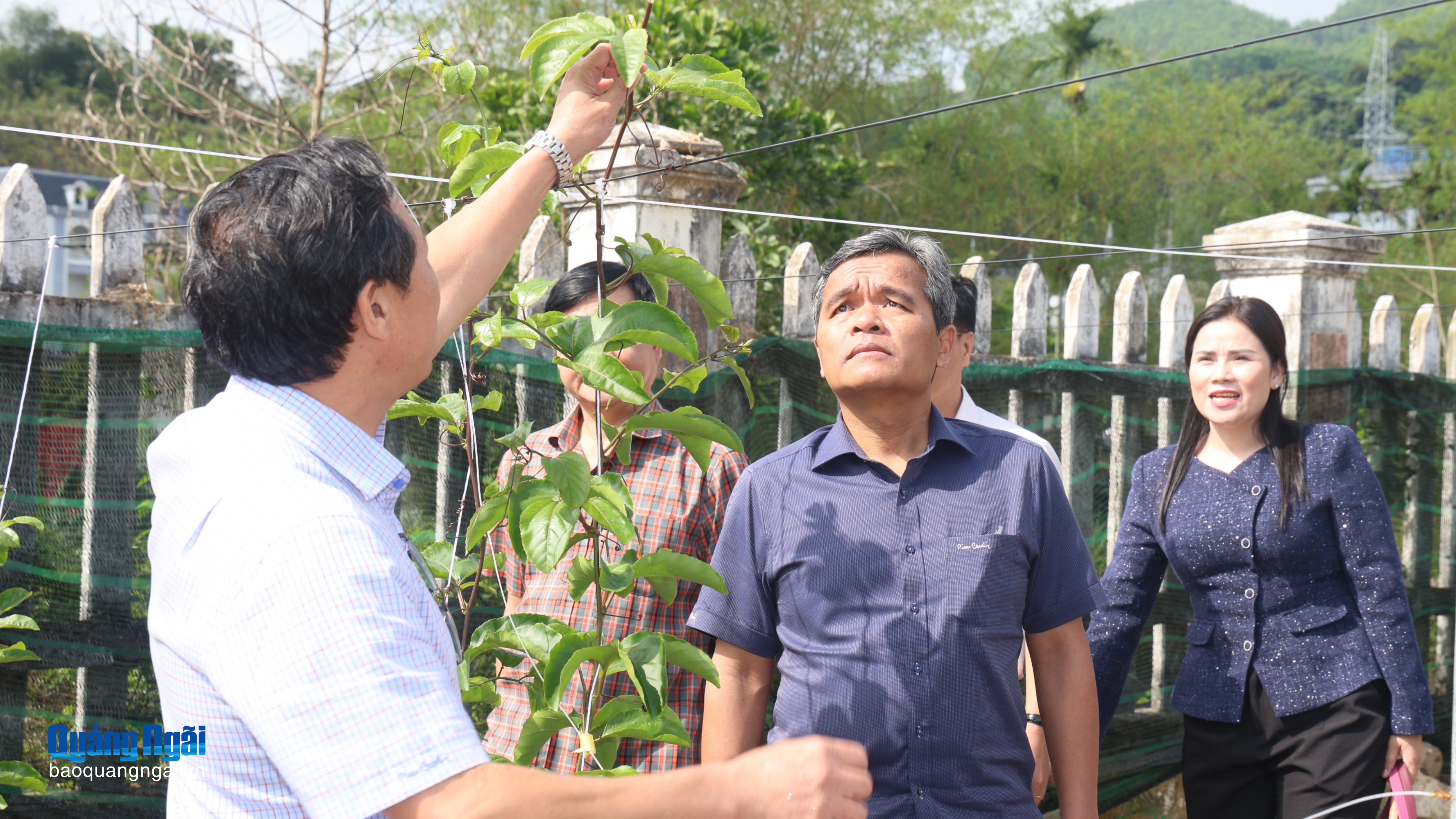 Đánh thức tiềm năng nông nghiệp ở Sơn Tây Thượng