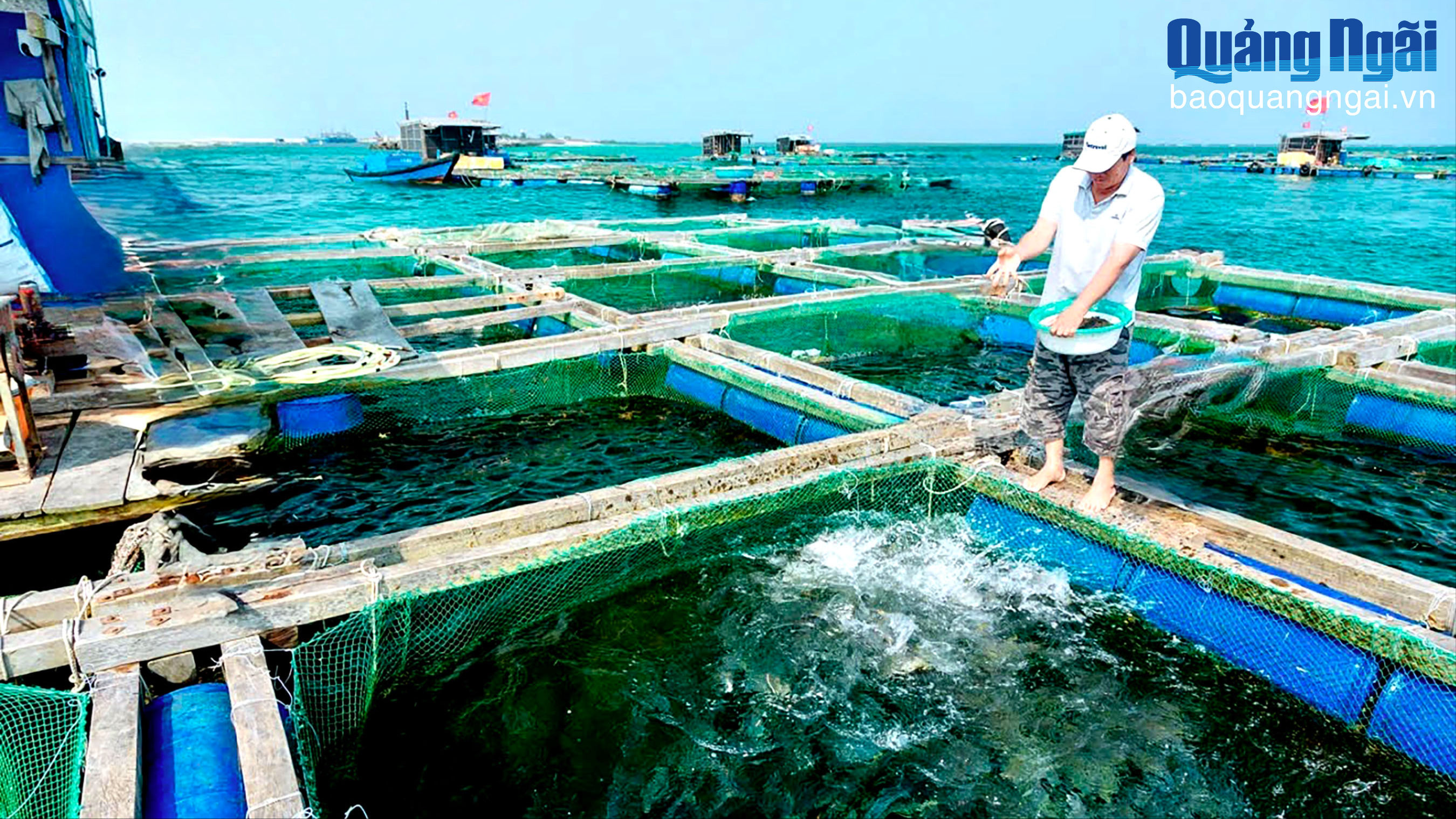 Báo và Phát thanh, Truyền hình Quảng Ngãi