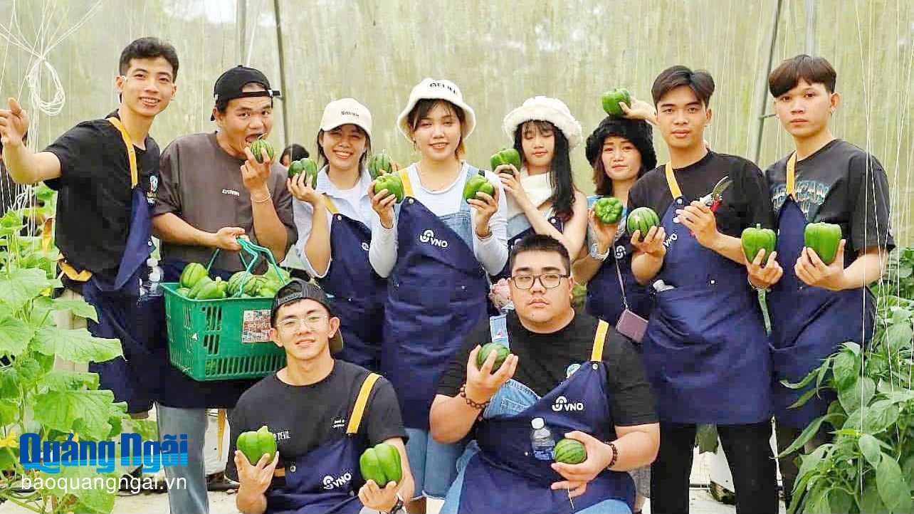 Báo và Phát thanh, Truyền hình Quảng Ngãi