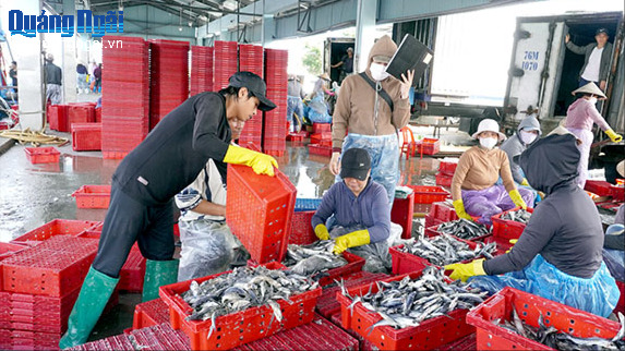 Quản lý chặt hoạt động thu mua thủy sản khai thác