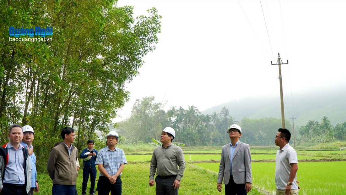 Giải quyết vướng mắc tuyến đường dây 22kV cấp điện cho Ba Tơ