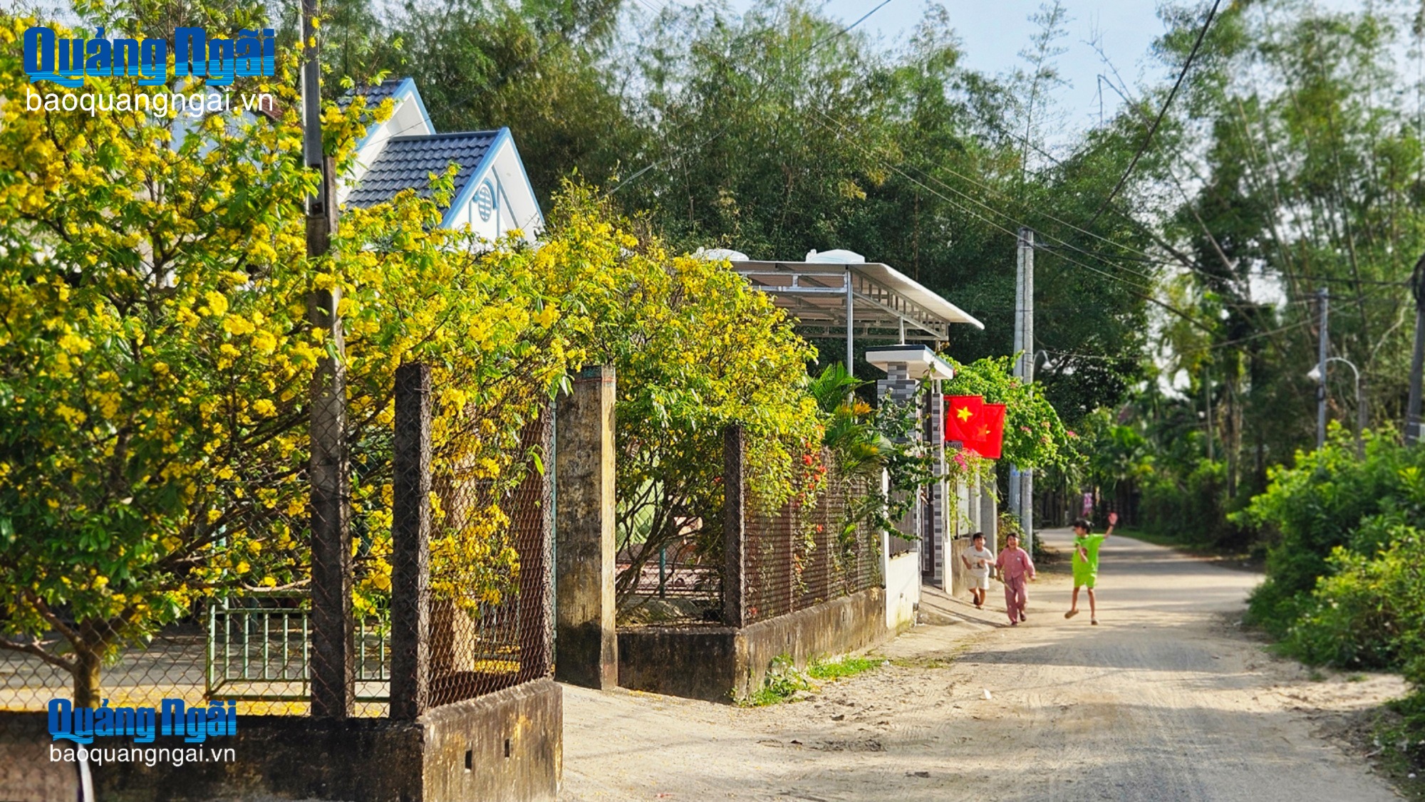 Quảng Ngãi nắng ấm những ngày giáp Tết