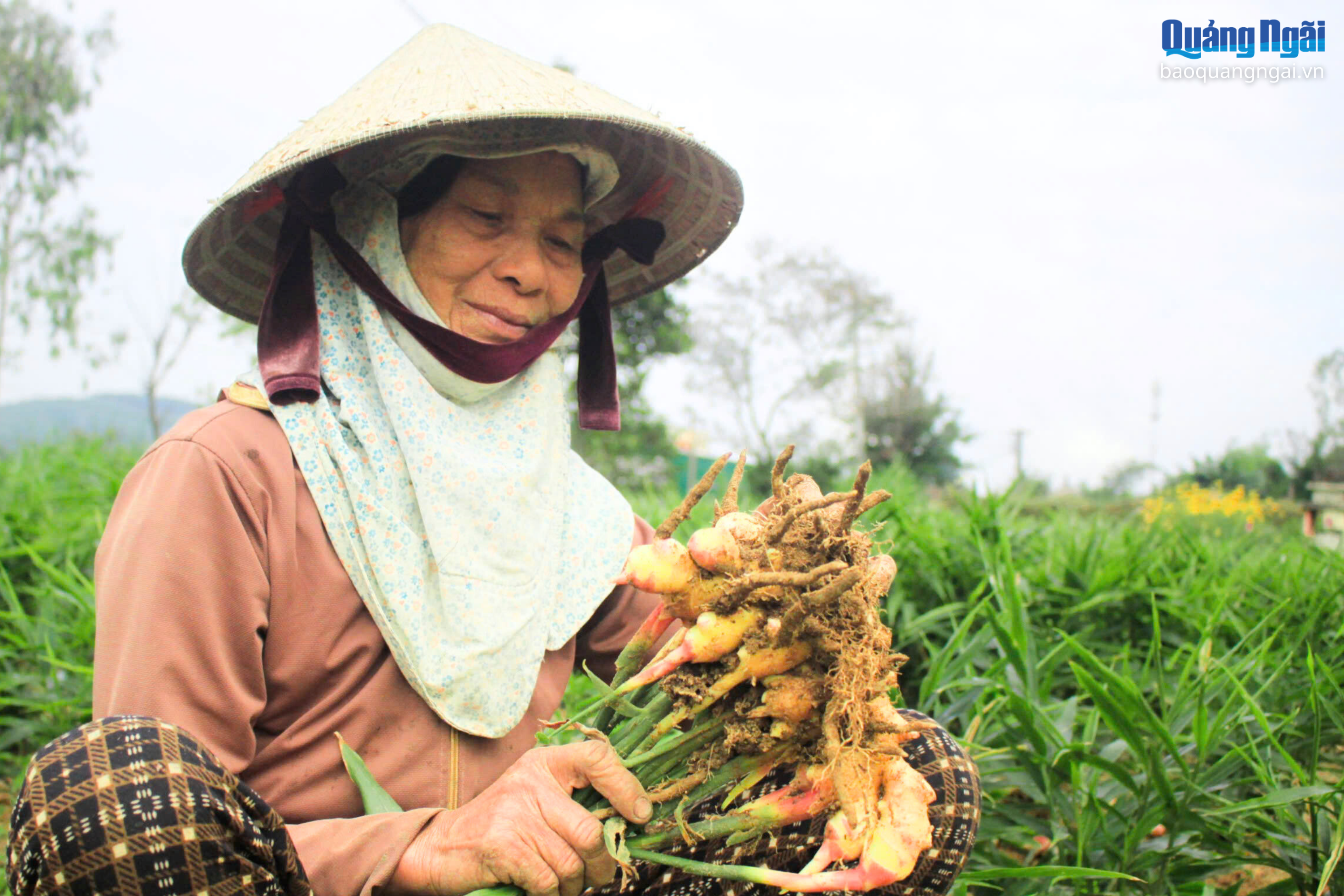 Báo và Phát thanh, Truyền hình Quảng Ngãi