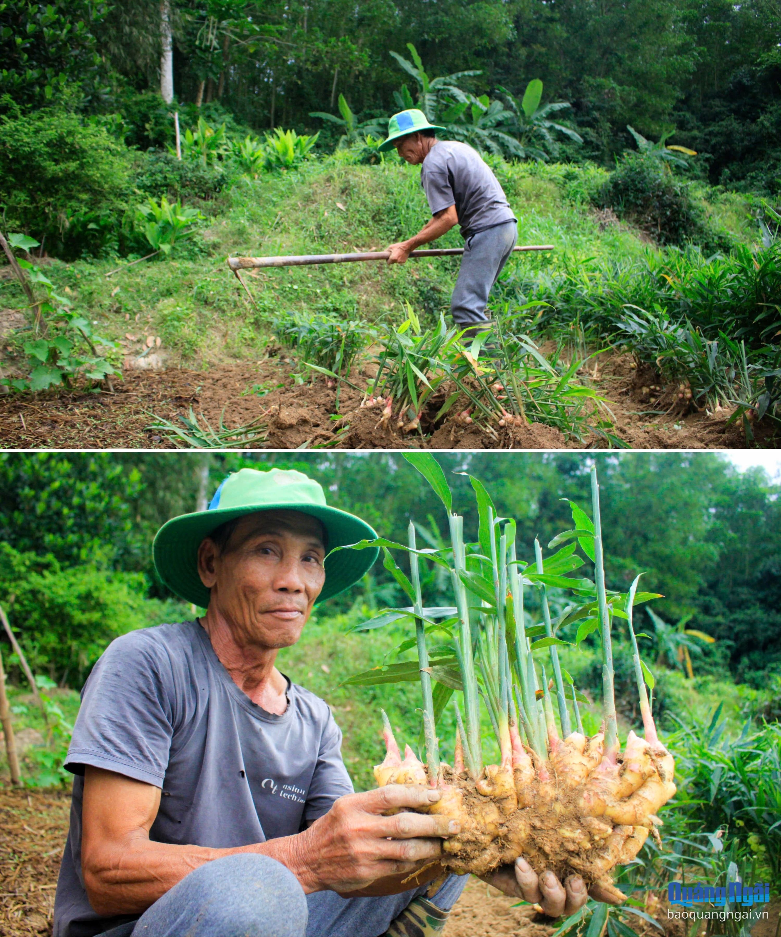 Báo và Phát thanh, Truyền hình Quảng Ngãi