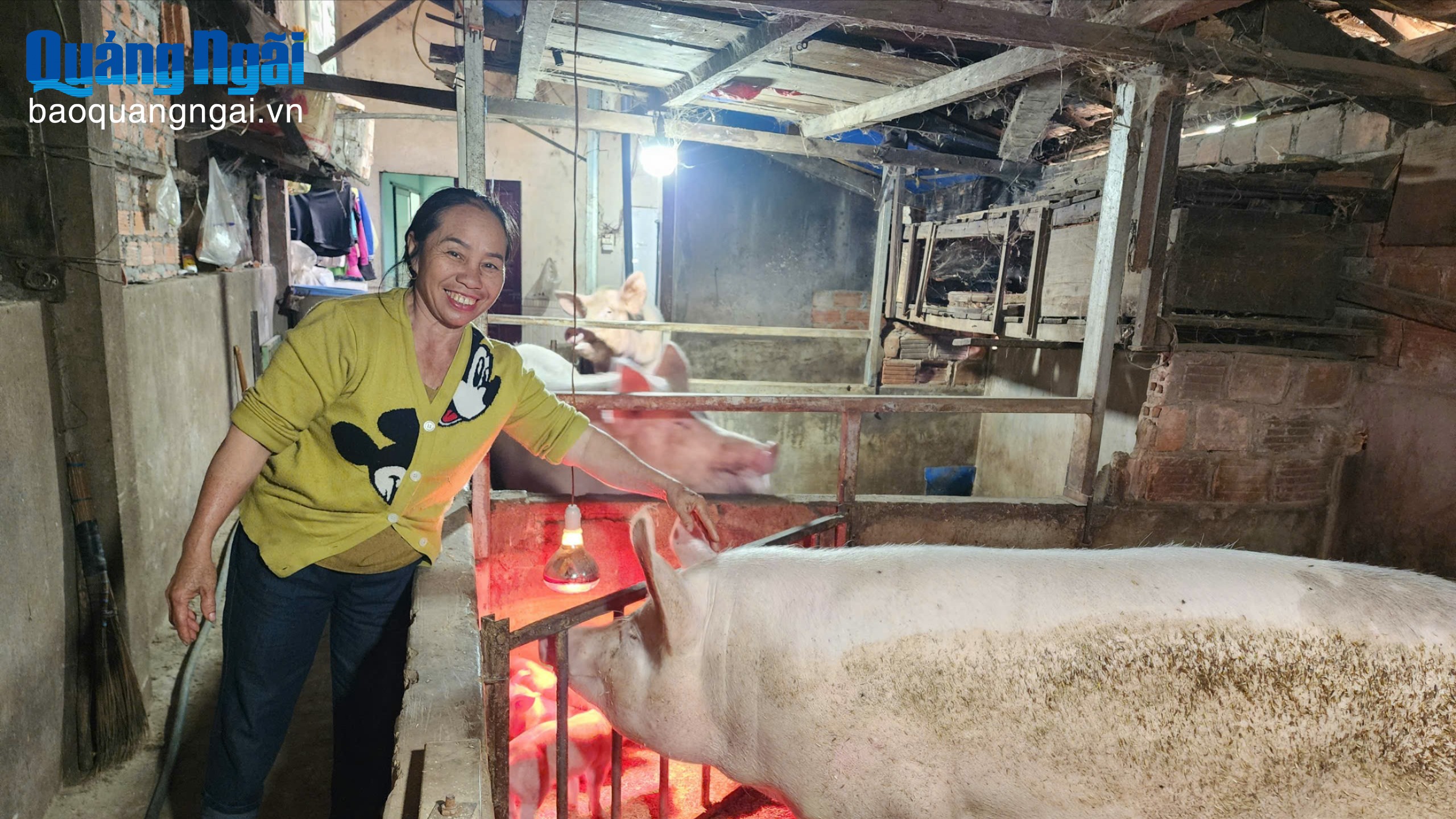 Khơi dậy ý chí làm giàu