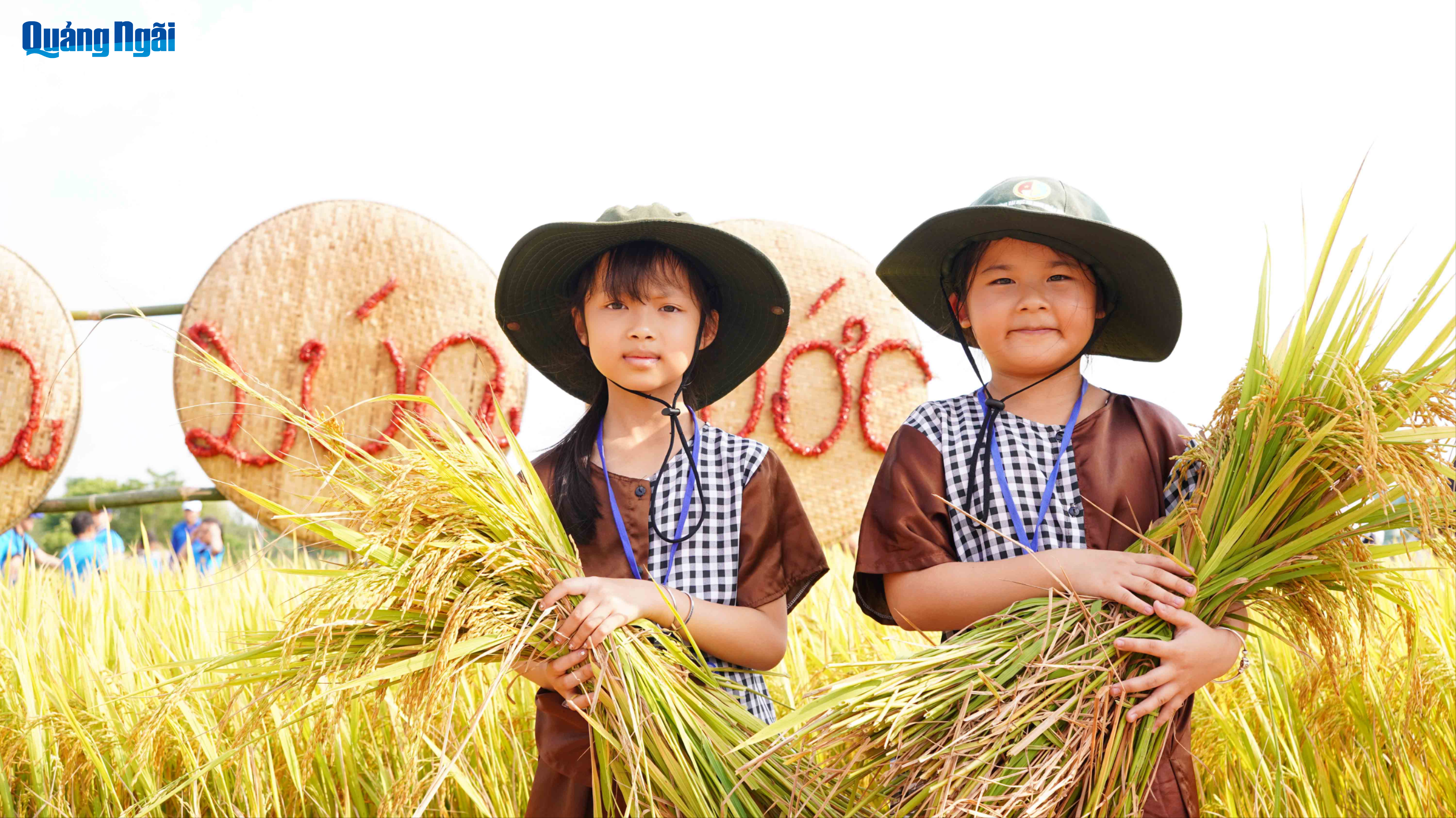 [Ảnh]. Mùa vàng ở 