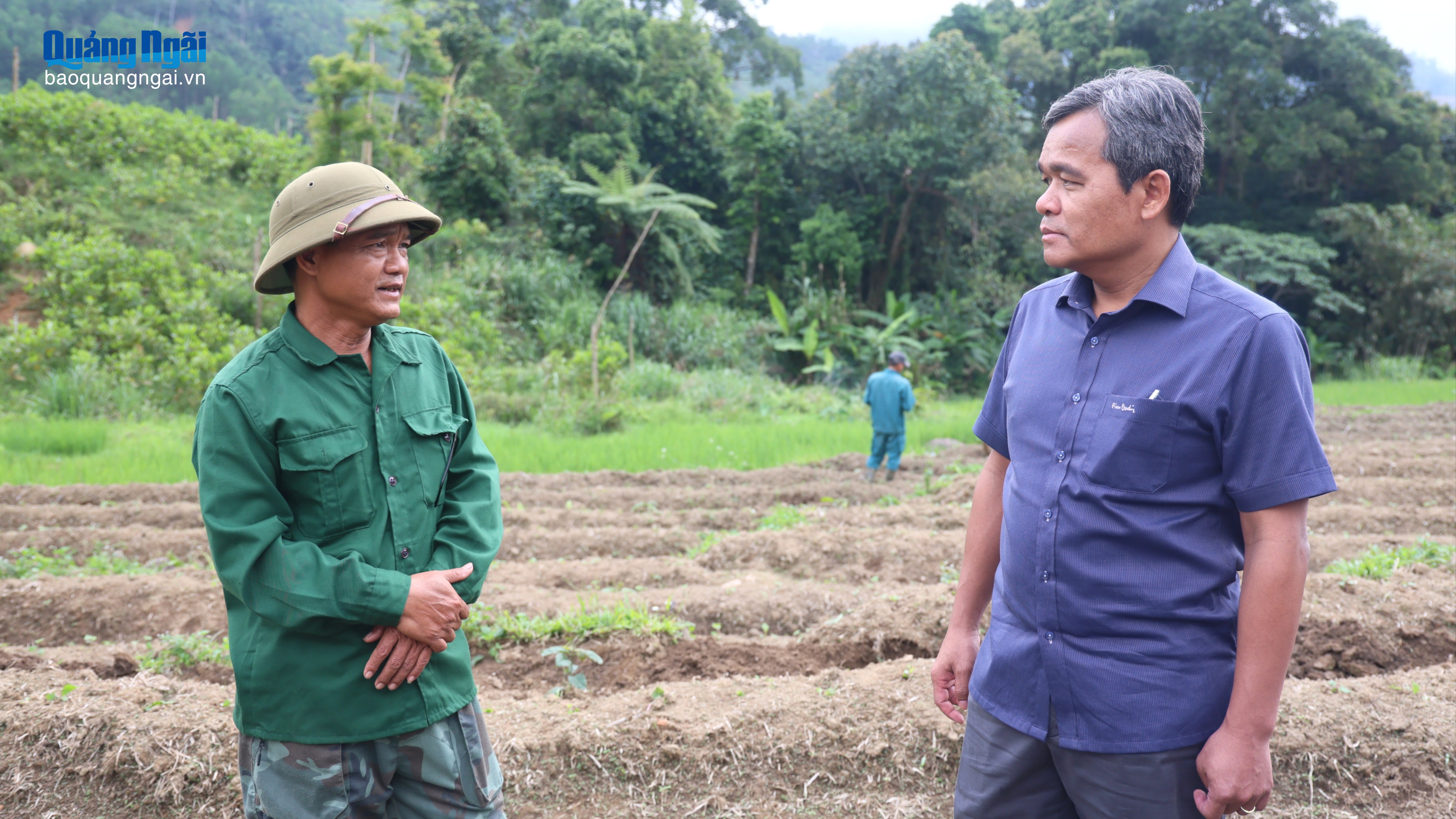 Báo và Phát thanh, Truyền hình Quảng Ngãi
