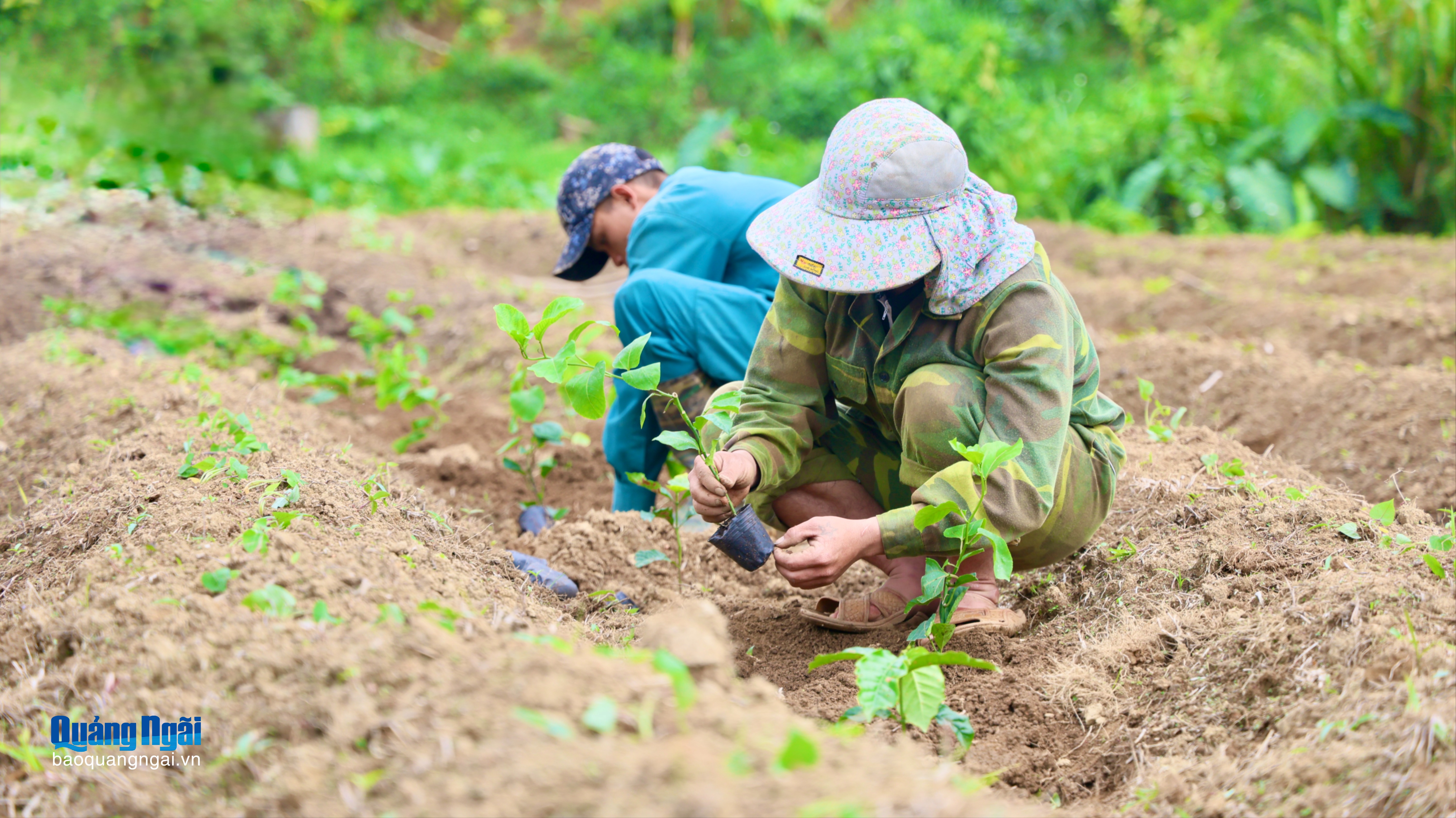 Báo và Phát thanh, Truyền hình Quảng Ngãi
