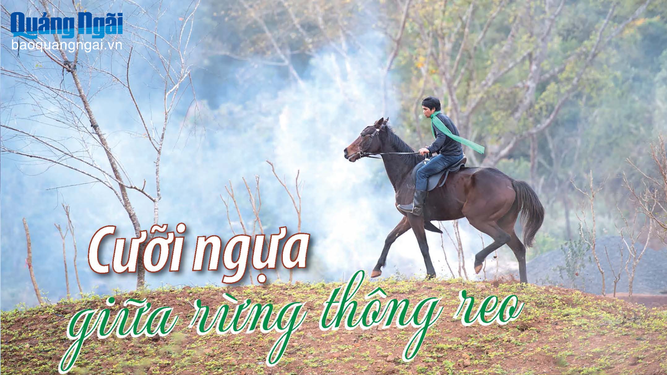 Cưỡi ngựa giữa rừng thông reo