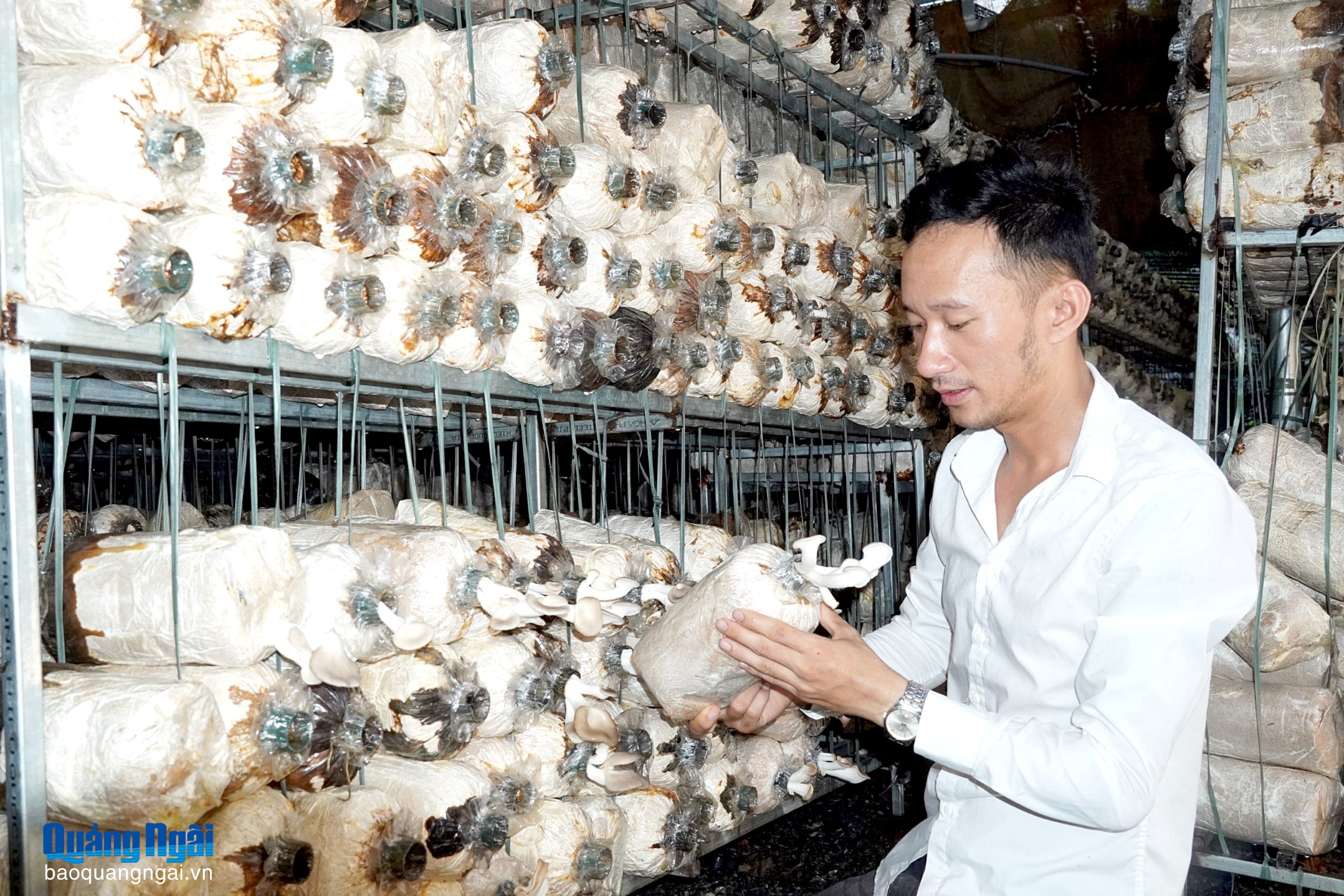 Báo và Phát thanh, Truyền hình Quảng Ngãi