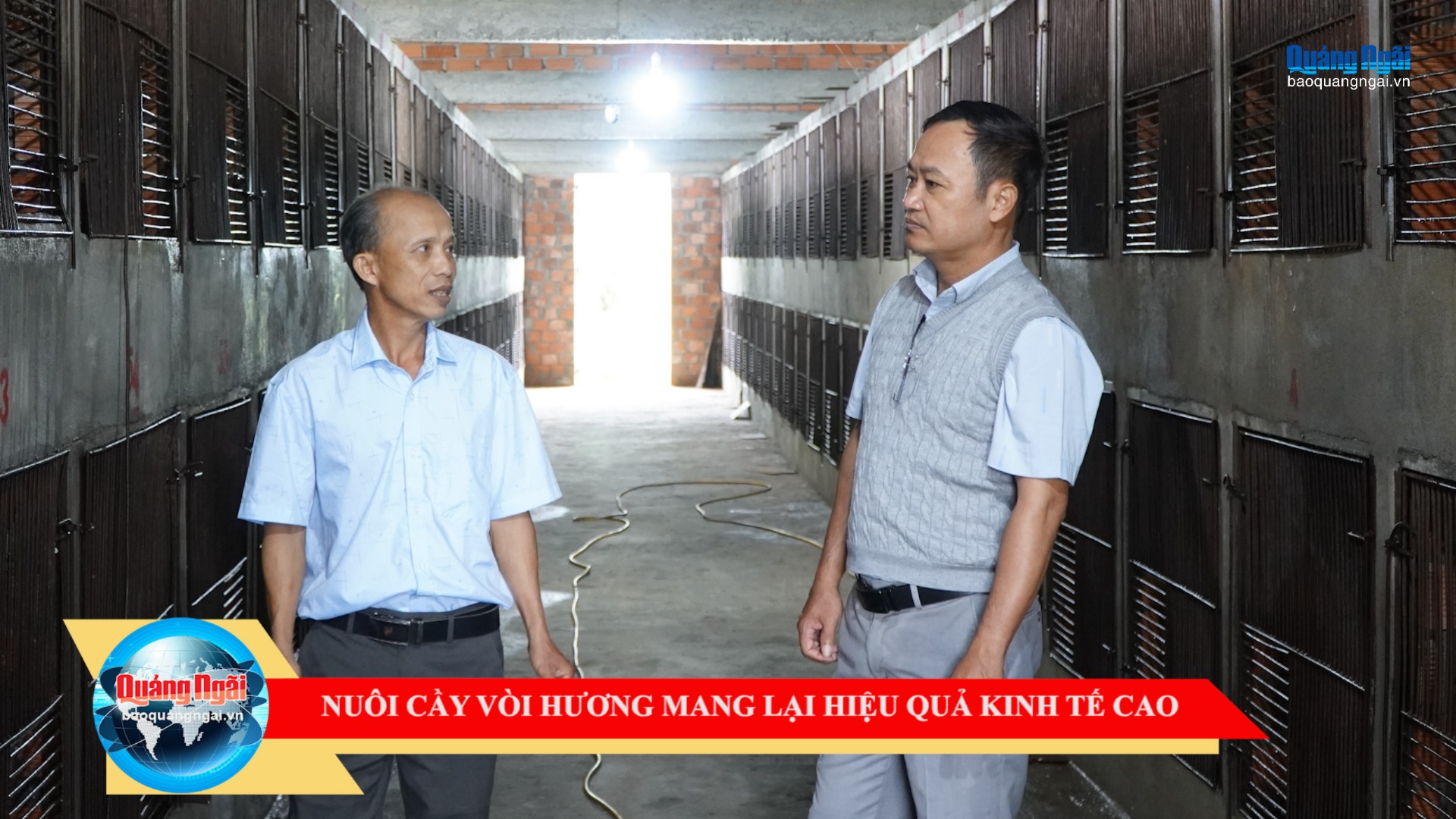 [Video]. Nuôi cầy vòi hương mang lại hiệu quả kinh tế cao