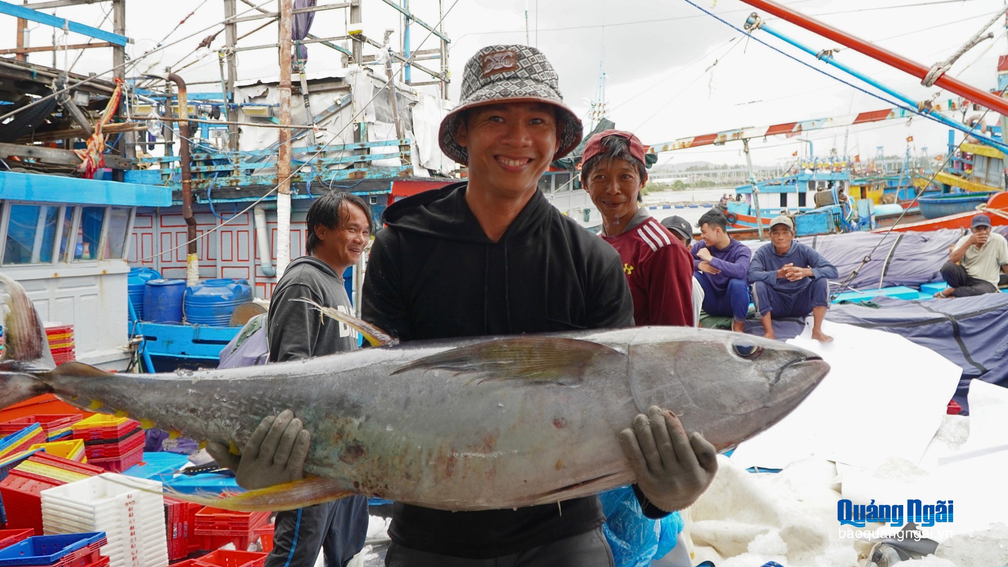 [Ảnh]. Ngư dân được mùa cá ngừ đại dương