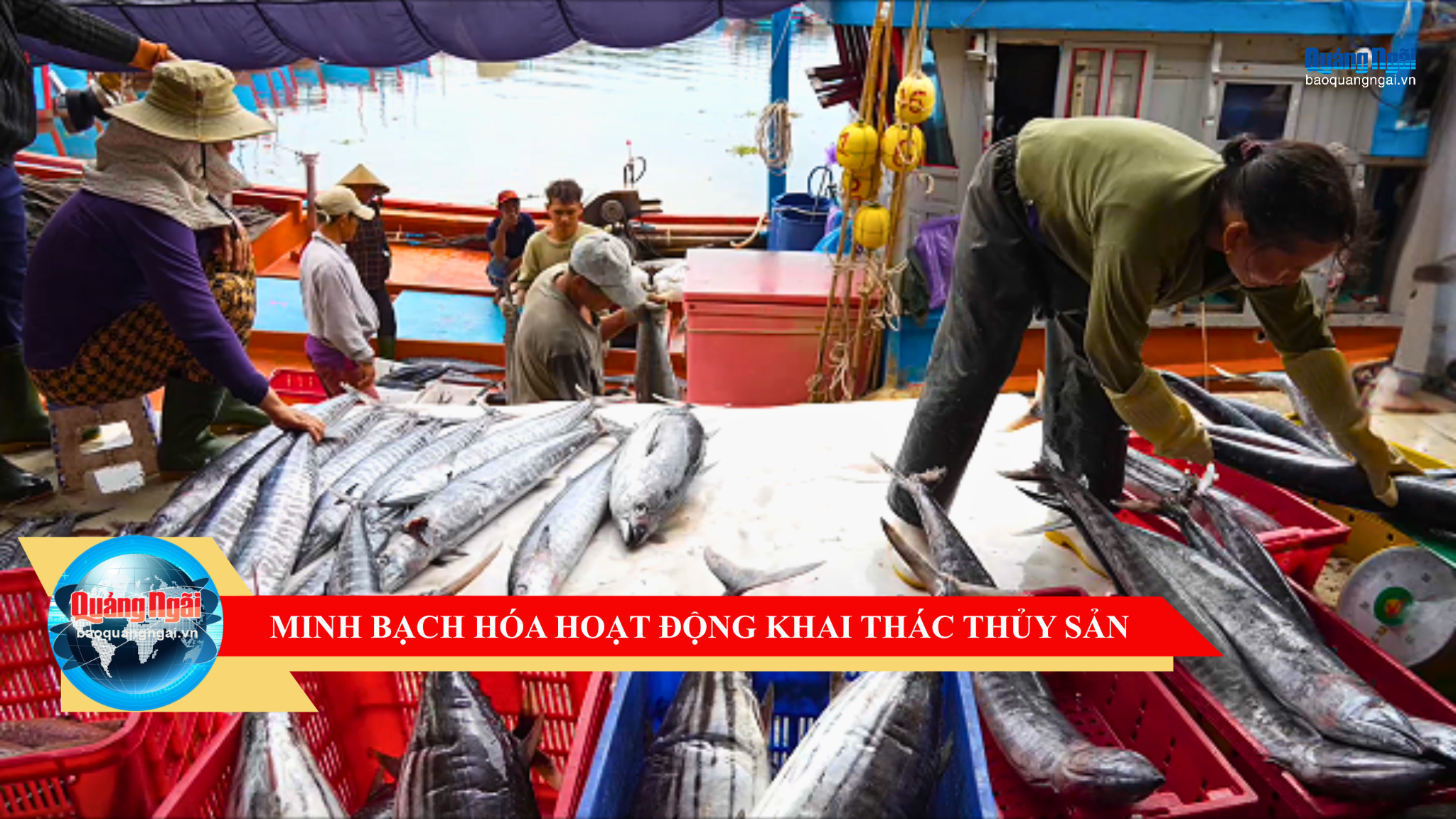 [Video]. Minh bạch hóa hoạt động khai thác thủy sản