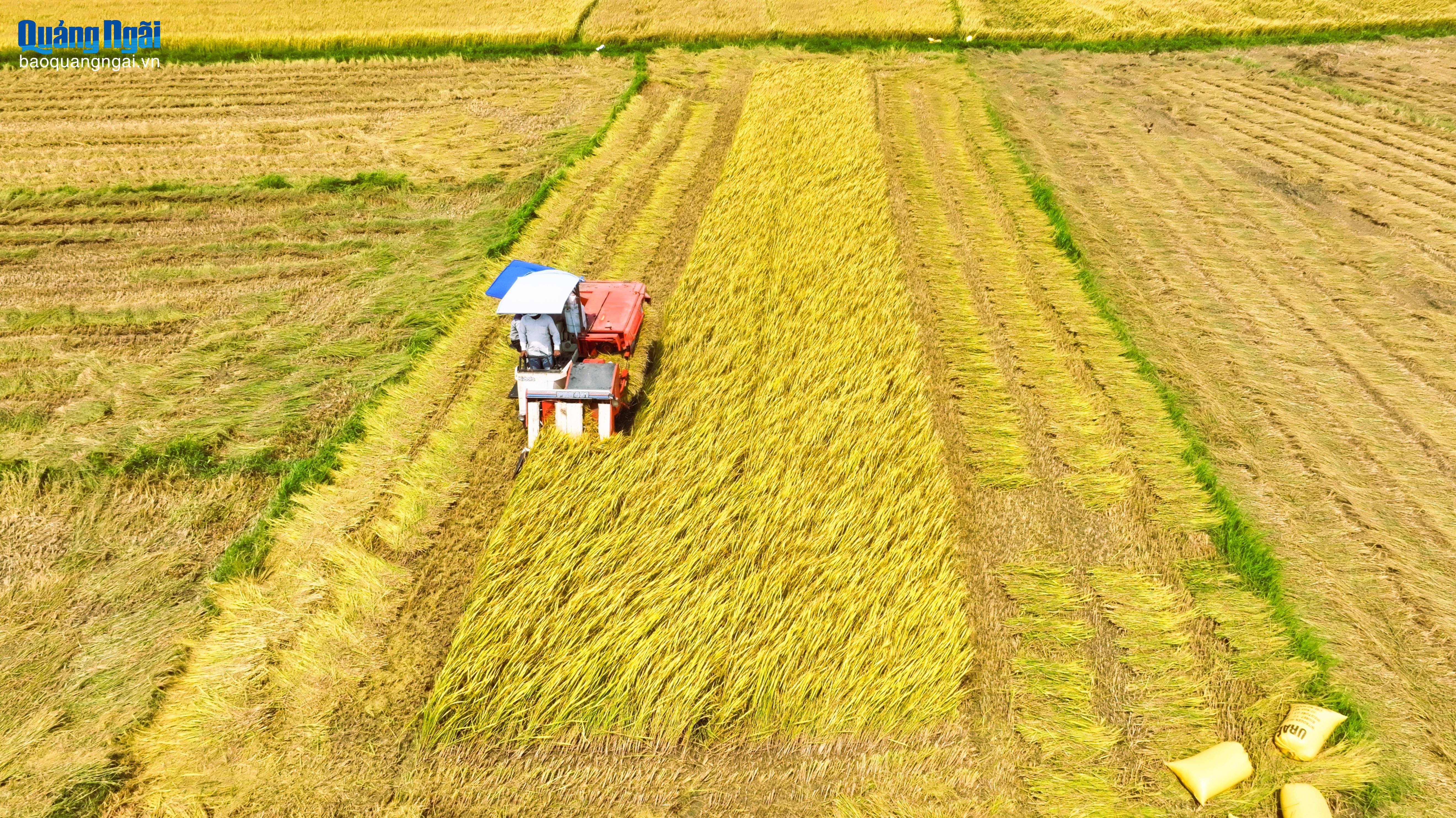 Báo và Phát thanh, Truyền hình Quảng Ngãi