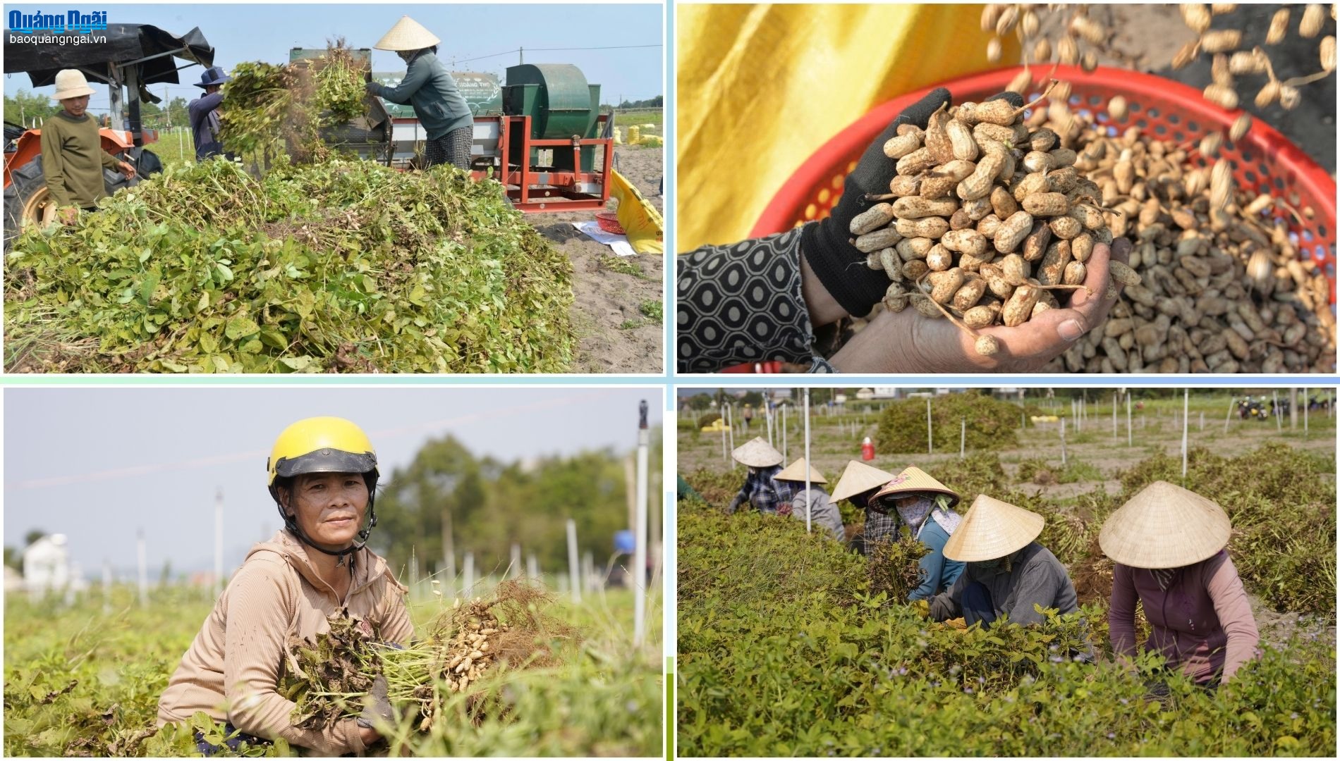Báo và Phát thanh, Truyền hình Quảng Ngãi