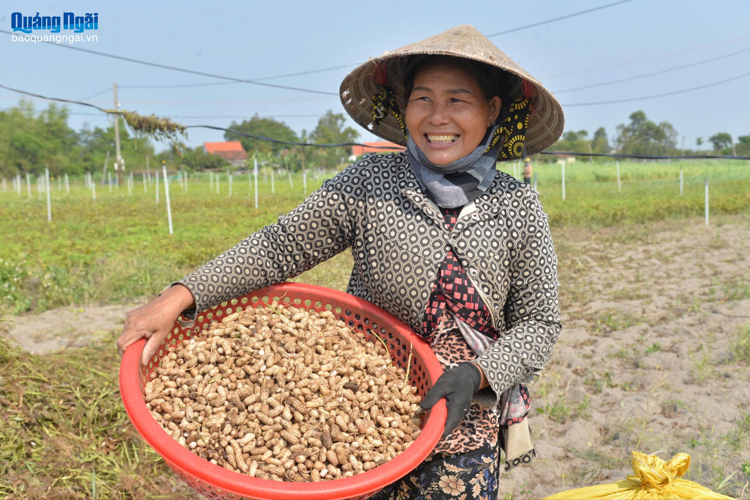 Báo và Phát thanh, Truyền hình Quảng Ngãi