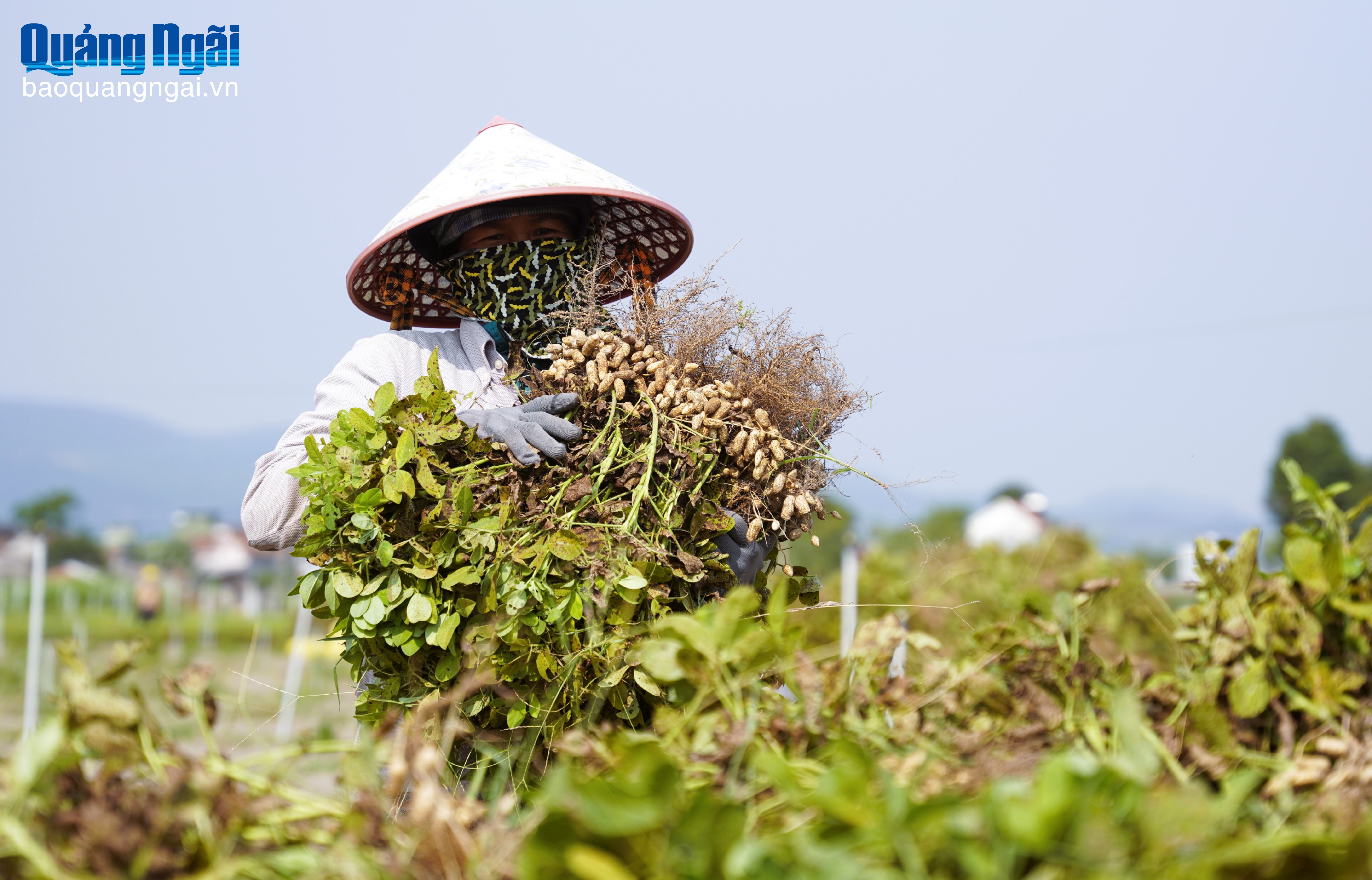 Báo và Phát thanh, Truyền hình Quảng Ngãi