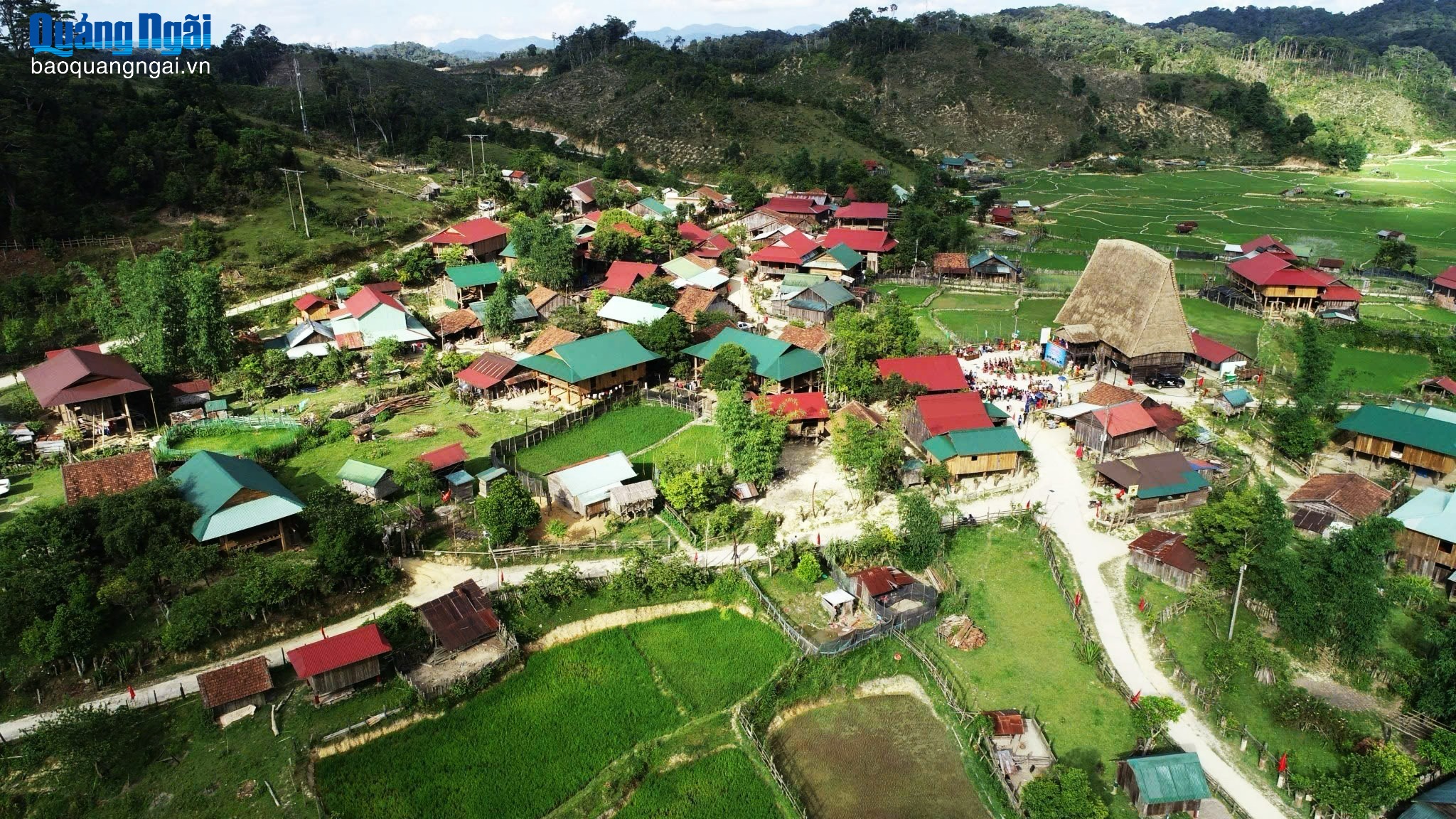 Trồng 2.000 cây mai anh đào tại làng du lịch cộng đồng ở Măng Đen