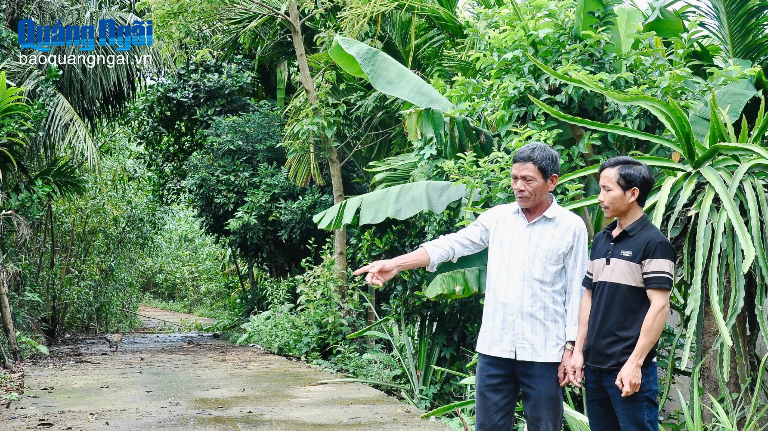 Lão nông hai lần hiến đất mở đường