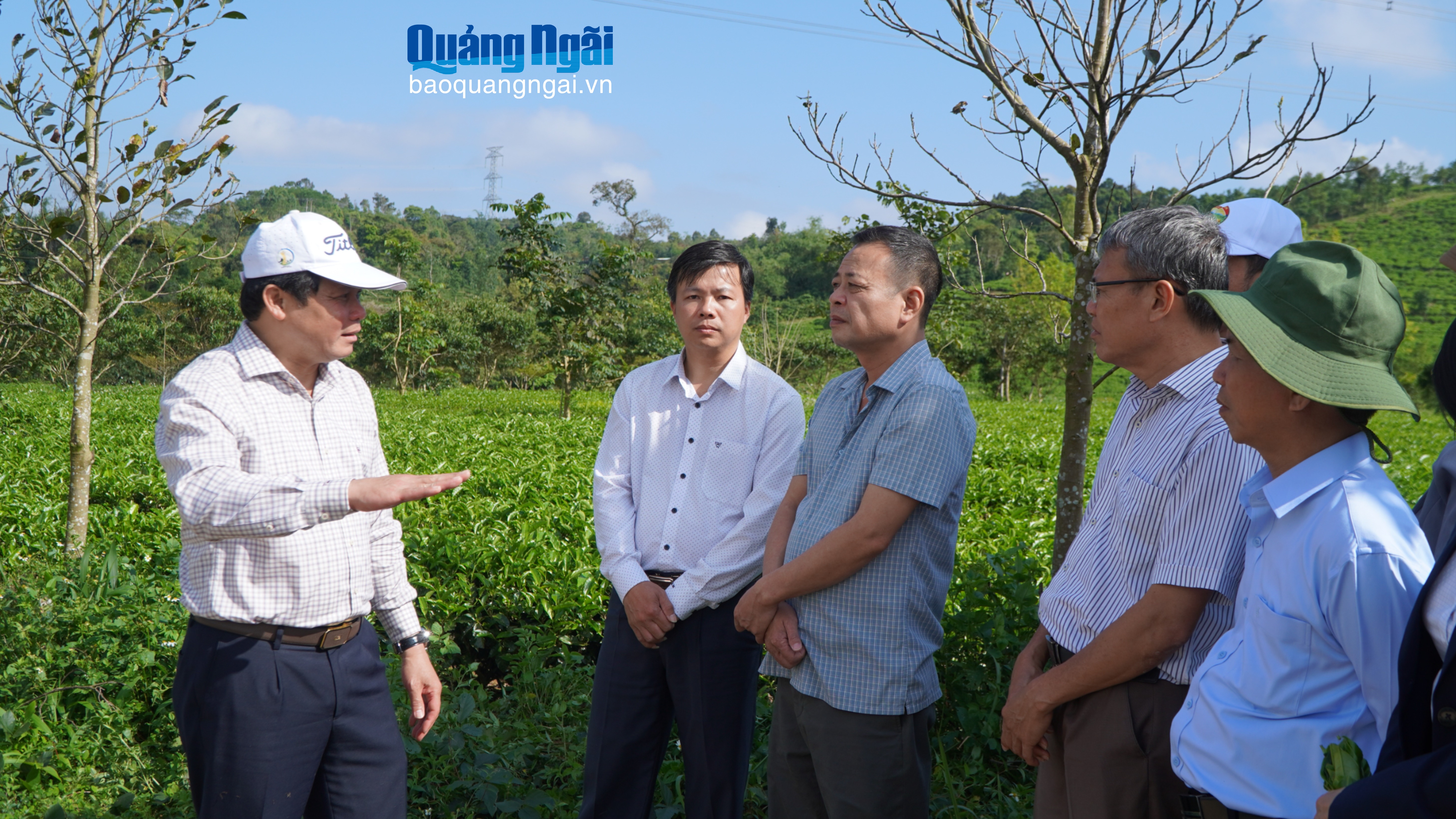 Lan tỏa mô hình trồng cà phê, chè chất lượng cao tại 