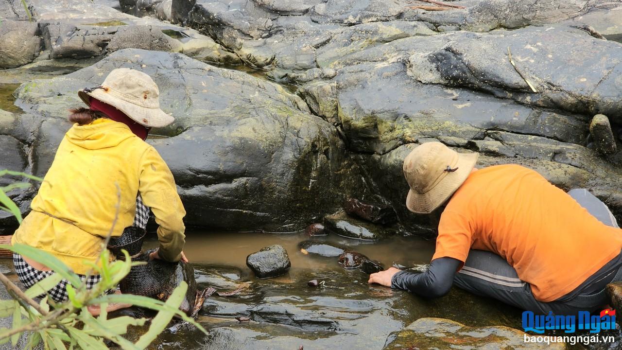 Nước cạn, nhiều loài cá chui sâu vào trong kẻ đá để ẩn náu, nên việc đánh bắt của người dân cũng gặp không ít khó khăn.